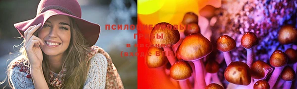 молекула духа Горно-Алтайск