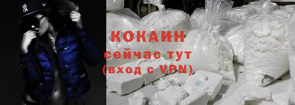 шишки Горняк