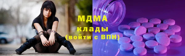 шишки Горняк