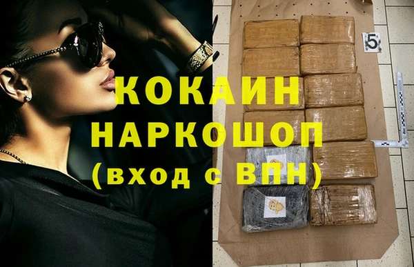 шишки Горняк