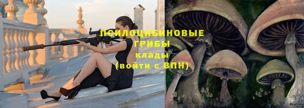 тгк Верея