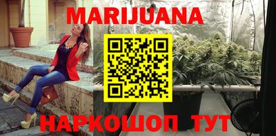 сатива Балахна