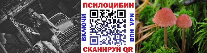 Галлюциногенные грибы Cubensis  Еманжелинск 