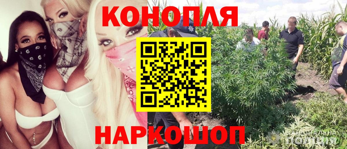 Бошки Шишки ГИДРОПОН  Шишки марихуана THC 21%  Еманжелинск  Вход с VPN  Марихуана ГИДРОПОН  Конопля планчик 